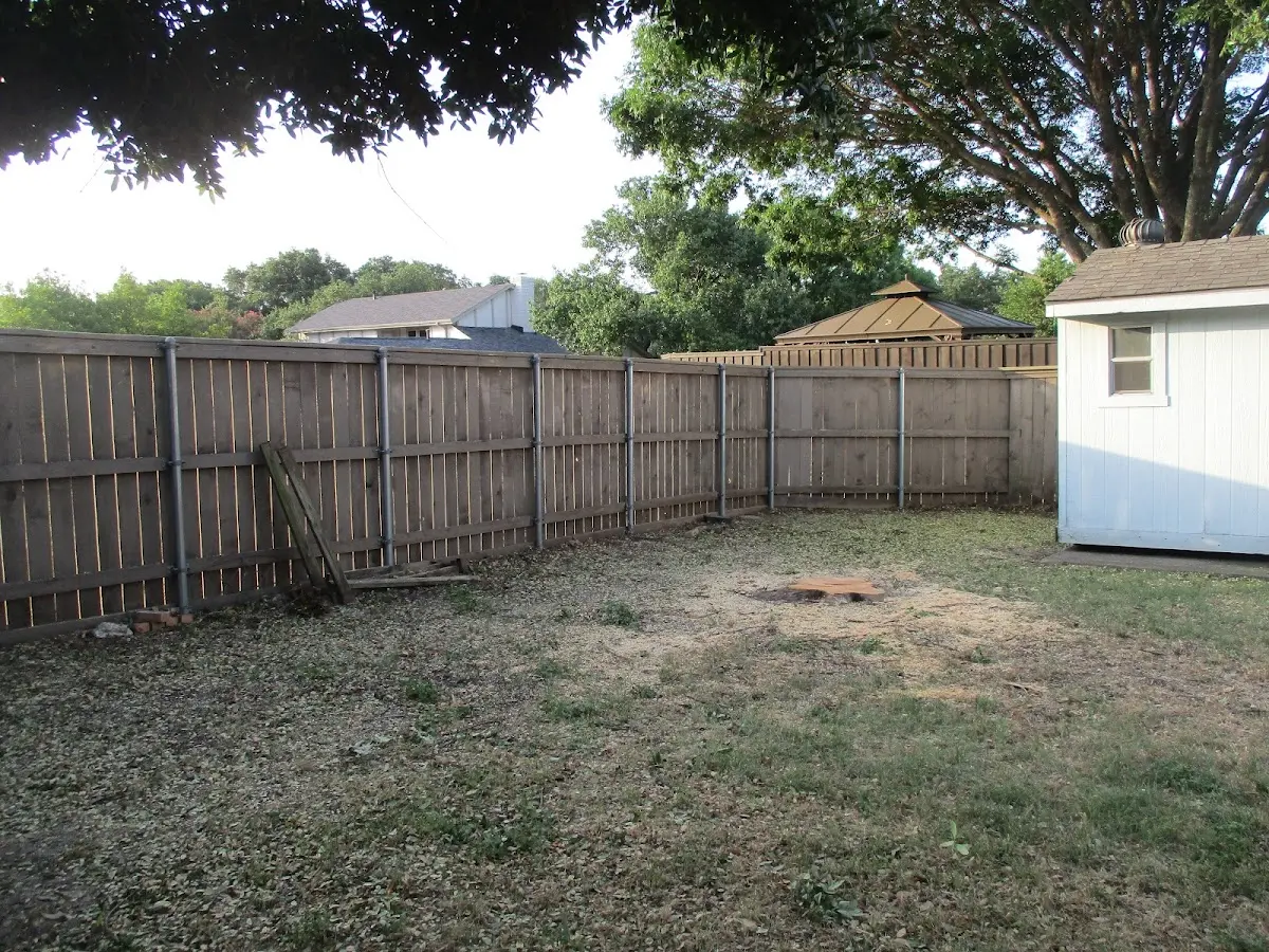 Cleared yard after professional tree removal in Rochert