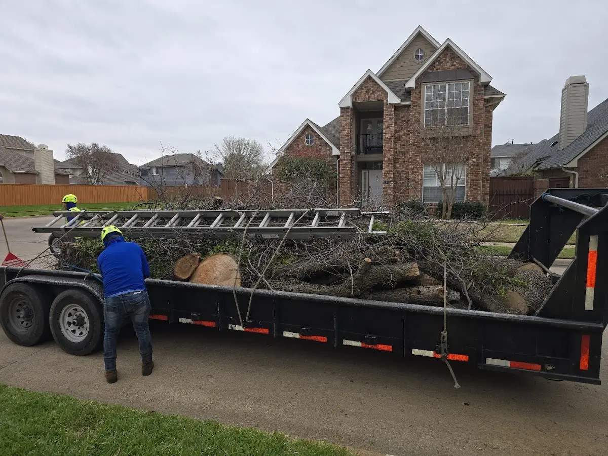 Expert Lot Clearing with proper safety equipment in Rochert